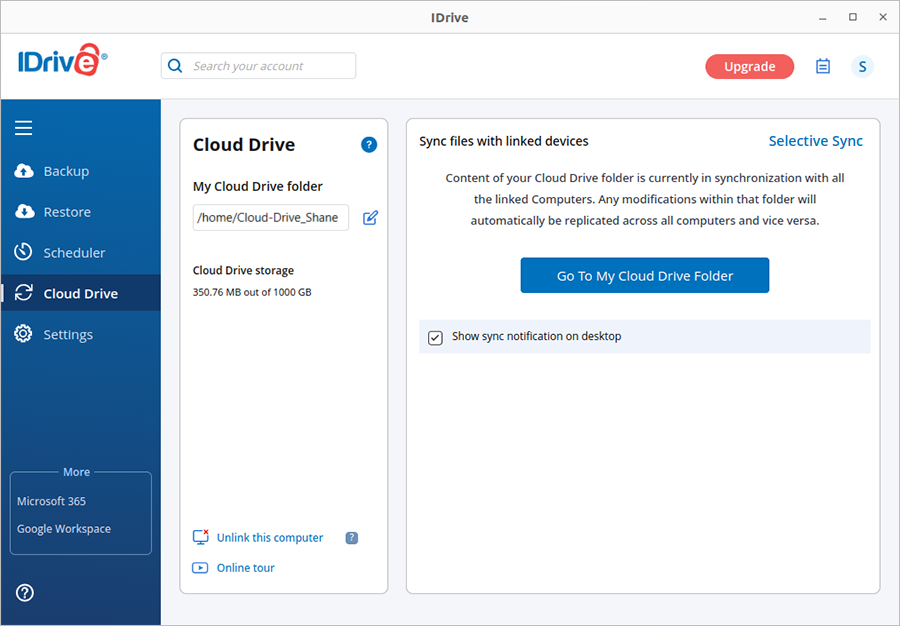 Selective Sync feature in IDrive Cloud Drive application screenshot